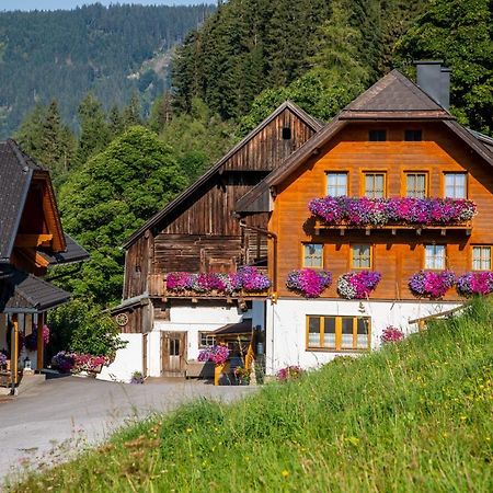 Bio-Bauernhof Grundlehnerhof Guest House Ramsau am Dachstein Exterior photo
