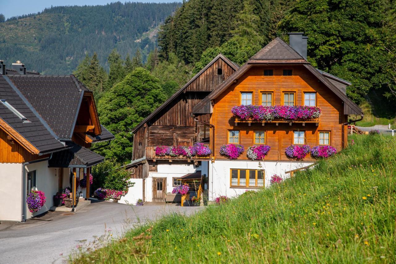 Bio-Bauernhof Grundlehnerhof Guest House Ramsau am Dachstein Exterior photo