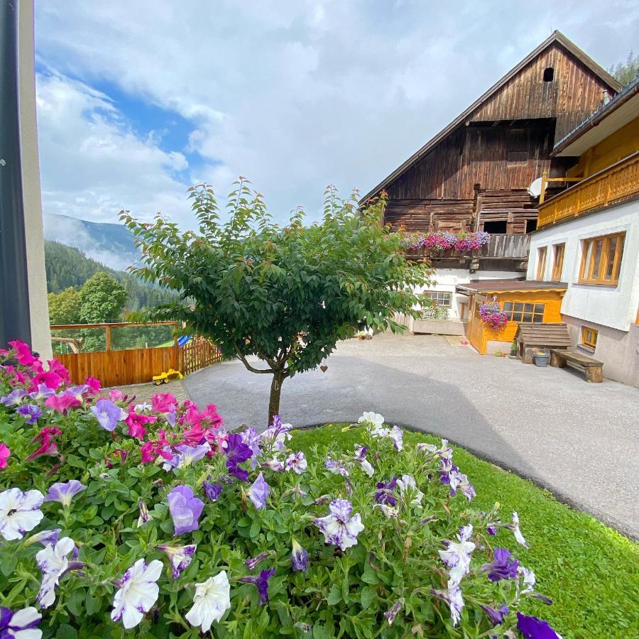 Bio-Bauernhof Grundlehnerhof Guest House Ramsau am Dachstein Exterior photo