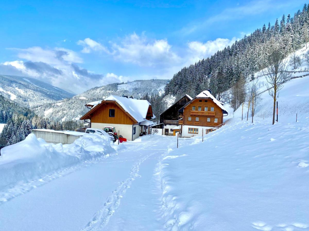 Bio-Bauernhof Grundlehnerhof Guest House Ramsau am Dachstein Exterior photo