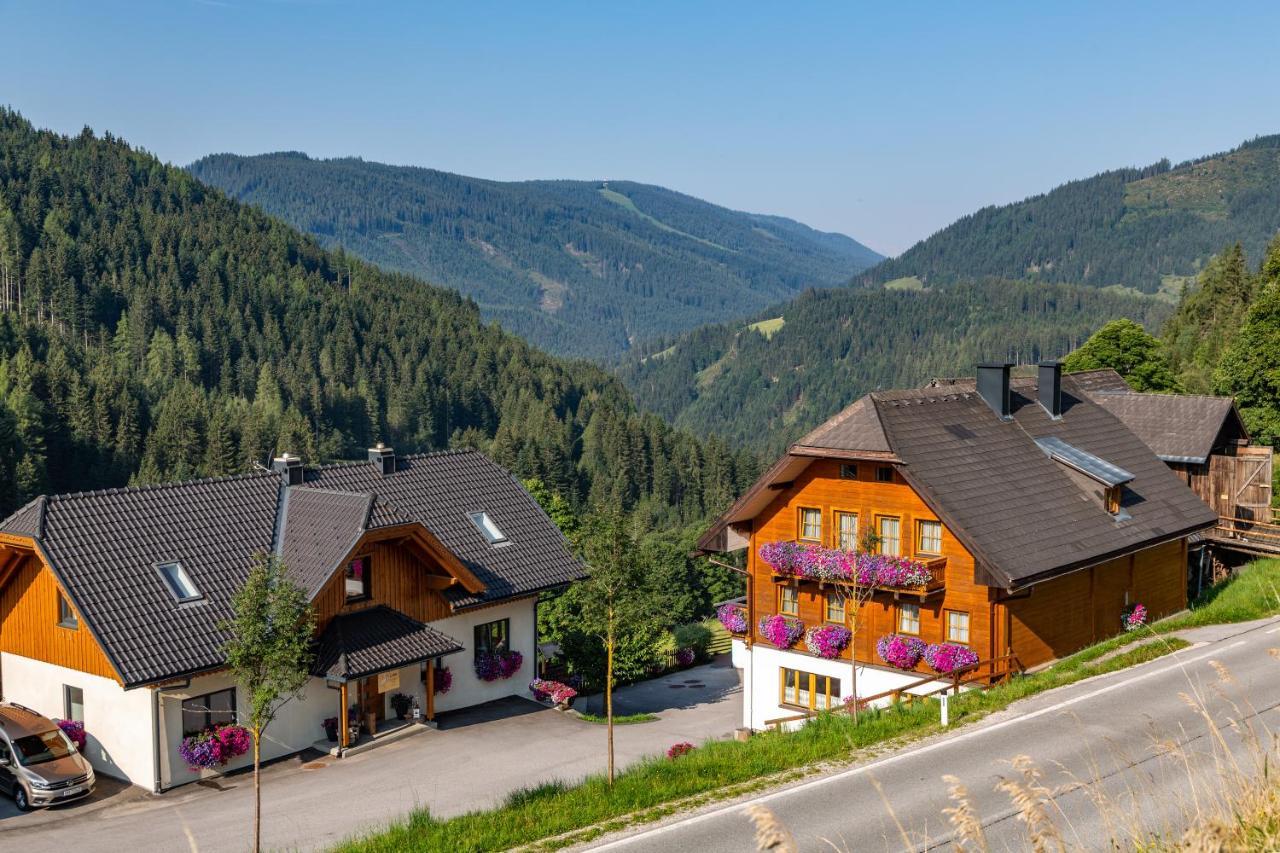 Bio-Bauernhof Grundlehnerhof Guest House Ramsau am Dachstein Exterior photo